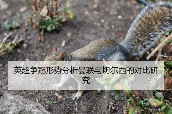 英超争冠形势分析曼联与切尔西的对比研究
